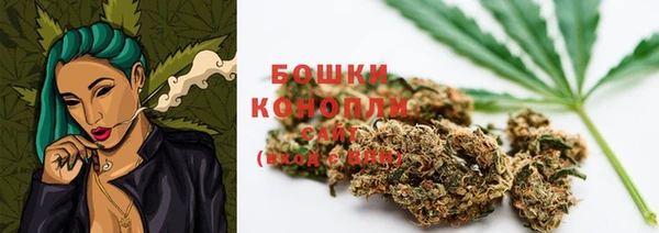 дживик Арсеньев