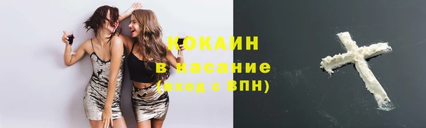 спиды Алзамай