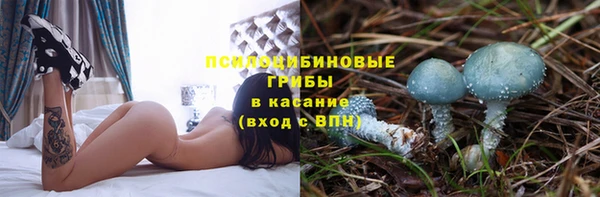 СК Аркадак