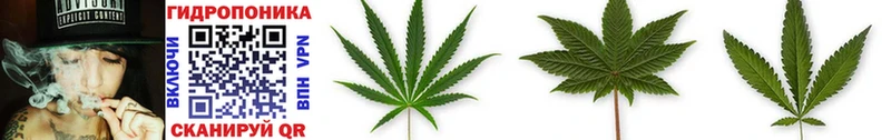 где найти наркотики  Чебаркуль  Бошки марихуана White Widow 