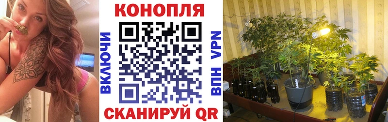 Шишки марихуана ГИДРОПОН Чебаркуль